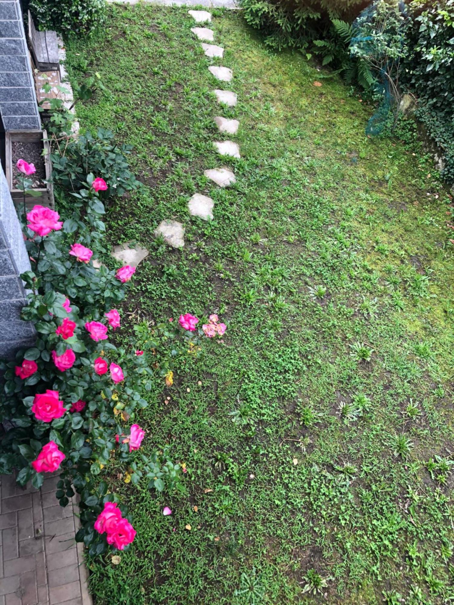 La Vela Villa Orta San Giulio Dış mekan fotoğraf